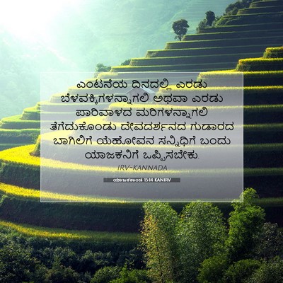 Picture 07 - ಯಾಜಕಕಾಂಡ 15:14 KANIRV - ಎಂಟನೆಯ ದಿನದಲ್ಲಿ - Bible Verse Picture