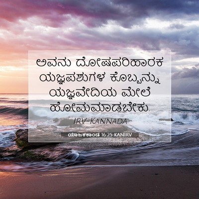 Picture 07 - ಯಾಜಕಕಾಂಡ 16:25 KANIRV - ಅವನು ದೋಷಪರಿಹಾರಕ - Bible Verse Picture