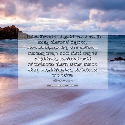 Picture 07 - ಯಾಜಕಕಾಂಡ 16:27 KANIRV - ದೋಷಪರಿಹಾರಕ - Bible Verse Picture