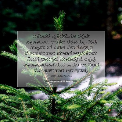 Picture 07 - ಯಾಜಕಕಾಂಡ 17:11 KANIRV - ಏಕೆಂದರೆ - Bible Verse Picture