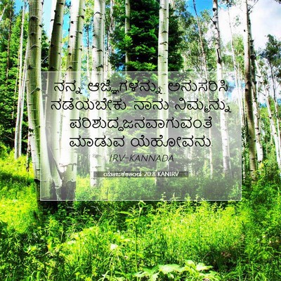 Picture 07 - ಯಾಜಕಕಾಂಡ 20:8 KANIRV - ನನ್ನ ಆಜ್ಞೆಗಳನ್ನು - Bible Verse Picture