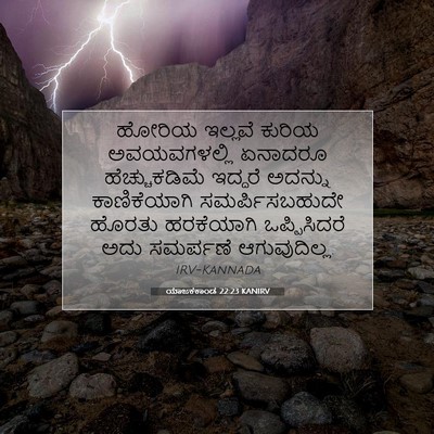 Picture 07 - ಯಾಜಕಕಾಂಡ 22:23 KANIRV - ಹೋರಿಯ ಇಲ್ಲವೆ - Bible Verse Picture