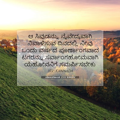 Picture 07 - ಯಾಜಕಕಾಂಡ 23:12 KANIRV - ಆ ಸಿವುಡನ್ನು - Bible Verse Picture