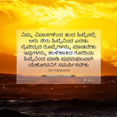Picture 07 - ಯಾಜಕಕಾಂಡ 23:17 KANIRV - ನಿಮ್ಮ ನಿವಾಸಗಳಿಂದ - Bible Verse Picture