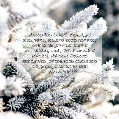 Picture 07 - ಯಾಜಕಕಾಂಡ 23:40 KANIRV - ಮೊದಲನೆಯ ದಿನದಲ್ಲಿ - Bible Verse Picture