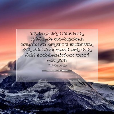 Picture 07 - ಯಾಜಕಕಾಂಡ 24:2 KANIRV - “ದೇವಸ್ಥಾನದಲ್ಲಿನ - Bible Verse Picture
