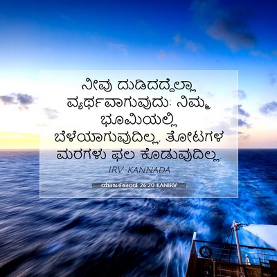 Picture 07 - ಯಾಜಕಕಾಂಡ 26:20 KANIRV - ನೀವು - Bible Verse Picture