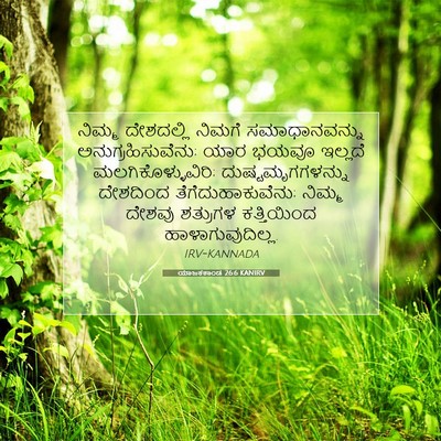 Picture 07 - ಯಾಜಕಕಾಂಡ 26:6 KANIRV - ನಿಮ್ಮ ದೇಶದಲ್ಲಿ - Bible Verse Picture