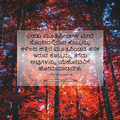 Picture 07 - ಯಾಜಕಕಾಂಡ 3:4 KANIRV - ಎರಡು ಮೂತ್ರಪಿಂಡಗಳ - Bible Verse Picture