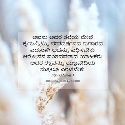Picture 07 - ಯಾಜಕಕಾಂಡ 3:8 KANIRV - ಅವನು ಅದರ ತಲೆಯ ಮೇಲೆ - Bible Verse Picture