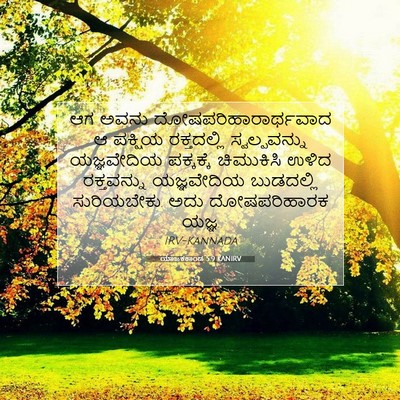 Picture 07 - ಯಾಜಕಕಾಂಡ 5:9 KANIRV - ಆಗ ಅವನು - Bible Verse Picture