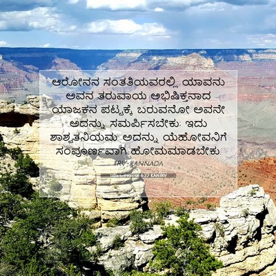 Picture 07 - ಯಾಜಕಕಾಂಡ 6:22 KANIRV - ಆರೋನನ - Bible Verse Picture