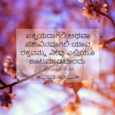 Picture 07 - ಯಾಜಕಕಾಂಡ 7:26 KANIRV - ಪಕ್ಷಿಯದಾಗಲಿ ಅಥವಾ - Bible Verse Picture
