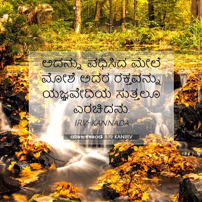Picture 07 - ಯಾಜಕಕಾಂಡ 8:19 KANIRV - ಅದನ್ನು ವಧಿಸಿದ - Bible Verse Picture