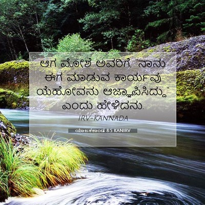 Picture 07 - ಯಾಜಕಕಾಂಡ 8:5 KANIRV - ಆಗ ಮೋಶೆ ಅವರಿಗೆ, - Bible Verse Picture
