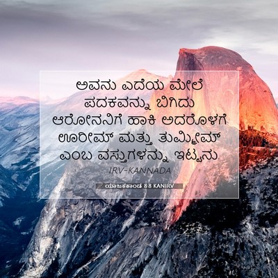 Picture 07 - ಯಾಜಕಕಾಂಡ 8:8 KANIRV - ಅವನು ಎದೆಯ ಮೇಲೆ - Bible Verse Picture