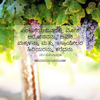 Picture 07 - ಯಾಜಕಕಾಂಡ 9:1 KANIRV - ಎಂಟನೆಯ ದಿನದಲ್ಲಿ - Bible Verse Picture