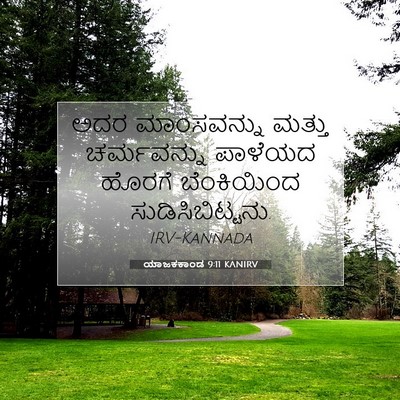 Picture 07 - ಯಾಜಕಕಾಂಡ 9:11 KANIRV - ಅದರ ಮಾಂಸವನ್ನು - Bible Verse Picture