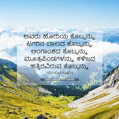 Picture 07 - ಯಾಜಕಕಾಂಡ 9:19 KANIRV - ಅವರು ಹೋರಿಯ - Bible Verse Picture
