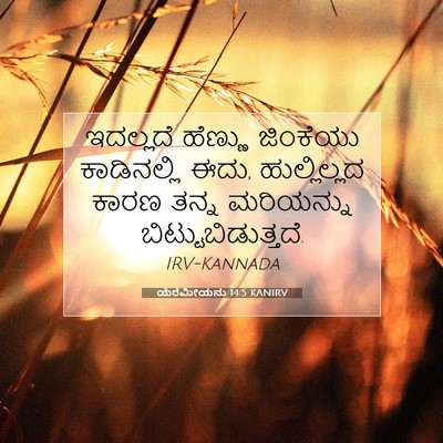 Picture 07 - ಯೆರೆಮೀಯನು 14:5 KANIRV - ಇದಲ್ಲದೆ ಹೆಣ್ಣು - Bible Verse Picture