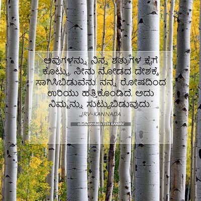 Picture 07 - ಯೆರೆಮೀಯನು 15:14 KANIRV - ಅವುಗಳನ್ನು ನಿನ್ನ - Bible Verse Picture