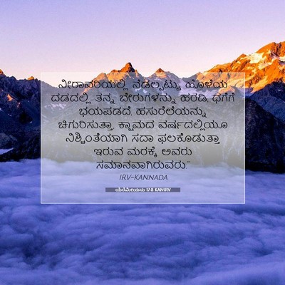 Picture 07 - ಯೆರೆಮೀಯನು 17:8 KANIRV - ನೀರಾವರಿಯಲ್ಲಿ - Bible Verse Picture