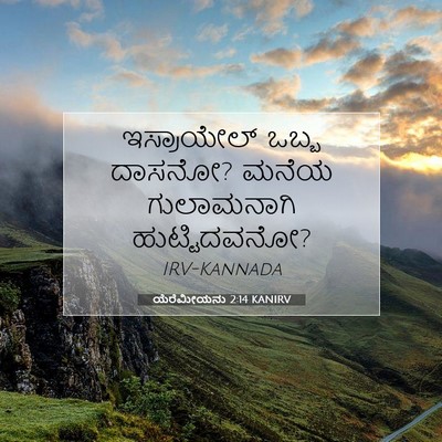 Picture 07 - ಯೆರೆಮೀಯನು 2:14 KANIRV - ಇಸ್ರಾಯೇಲ್ ಒಬ್ಬ - Bible Verse Picture