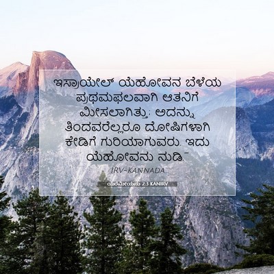 Picture 07 - ಯೆರೆಮೀಯನು 2:3 KANIRV - ಇಸ್ರಾಯೇಲ್ ಯೆಹೋವನ - Bible Verse Picture