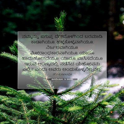 Picture 07 - ಯೆರೆಮೀಯನು 2:6 KANIRV - ‘ನಮ್ಮನ್ನು ಐಗುಪ್ತ - Bible Verse Picture