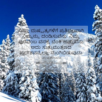 Picture 07 - ಯೆರೆಮೀಯನು 21:14 KANIRV - ನಿಮ್ಮ - Bible Verse Picture