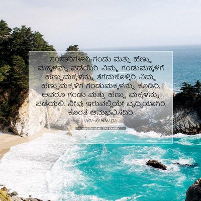 Picture 07 - ಯೆರೆಮೀಯನು 29:6 KANIRV - ಸಂಸಾರಿಗಳಾಗಿ ಗಂಡು - Bible Verse Picture