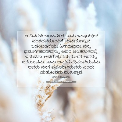 Picture 07 - ಯೆರೆಮೀಯನು 31:33 KANIRV - ಆ ದಿನಗಳು ಬಂದಮೇಲೆ - Bible Verse Picture