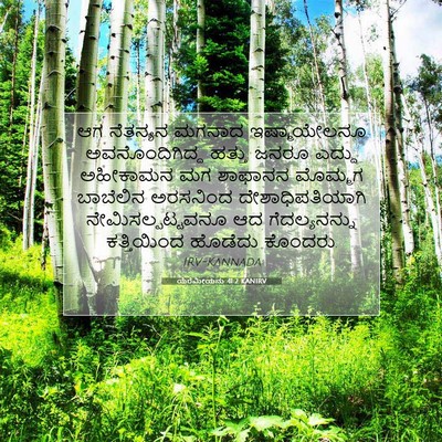 Picture 07 - ಯೆರೆಮೀಯನು 41:2 KANIRV - ಆಗ ನೆತನ್ಯನ ಮಗನಾದ - Bible Verse Picture