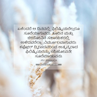 Picture 07 - ಯೆರೆಮೀಯನು 47:4 KANIRV - ಏಕೆಂದರೆ ಆ - Bible Verse Picture