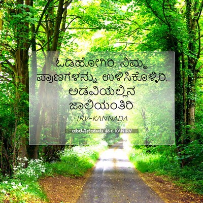 Picture 07 - ಯೆರೆಮೀಯನು 48:6 KANIRV - ಓಡಿಹೋಗಿರಿ, ನಿಮ್ಮ - Bible Verse Picture