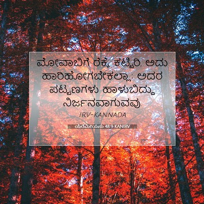 Picture 07 - ಯೆರೆಮೀಯನು 48:9 KANIRV - ಮೋವಾಬಿಗೆ ರೆಕ್ಕೆ - Bible Verse Picture