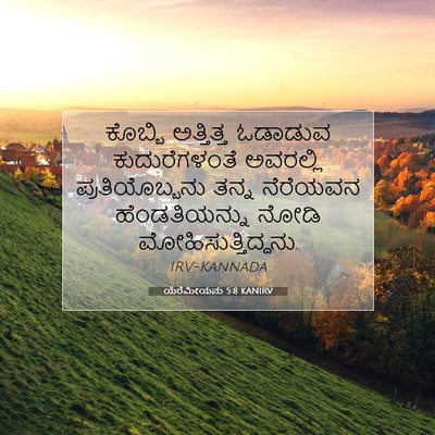Picture 07 - ಯೆರೆಮೀಯನು 5:8 KANIRV - ಕೊಬ್ಬಿ ಅತ್ತಿತ್ತ - Bible Verse Picture