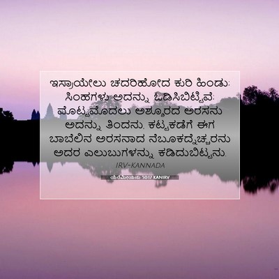 Picture 07 - ಯೆರೆಮೀಯನು 50:17 KANIRV - ಇಸ್ರಾಯೇಲು ಚದರಿಹೋದ - Bible Verse Picture