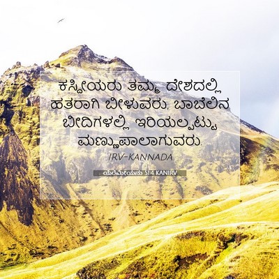 Picture 07 - ಯೆರೆಮೀಯನು 51:4 KANIRV - ಕಸ್ದೀಯರು ತಮ್ಮ - Bible Verse Picture