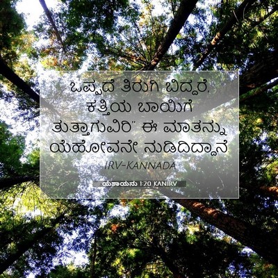 Picture 07 - ಯೆಶಾಯನು 1:20 KANIRV - ಒಪ್ಪದೆ ತಿರುಗಿ - Bible Verse Picture