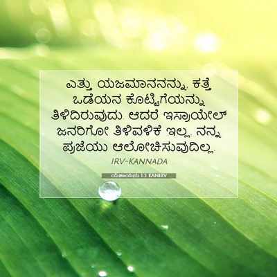 Picture 07 - ಯೆಶಾಯನು 1:3 KANIRV - ಎತ್ತು ಯಜಮಾನನನ್ನು, - Bible Verse Picture