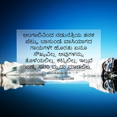 Picture 07 - ಯೆಶಾಯನು 1:6 KANIRV - ಅಂಗಾಲಿನಿಂದ - Bible Verse Picture