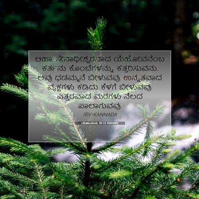 Picture 07 - ಯೆಶಾಯನು 10:33 KANIRV - ಆಹಾ, - Bible Verse Picture