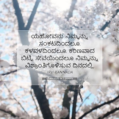 Picture 07 - ಯೆಶಾಯನು 14:3 KANIRV - ಯೆಹೋವನು ನಿಮ್ಮನ್ನು - Bible Verse Picture