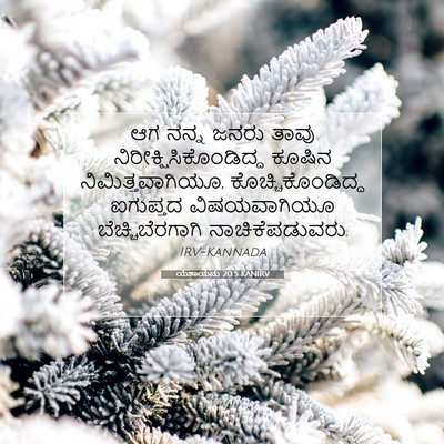 Picture 07 - ಯೆಶಾಯನು 20:5 KANIRV - ಆಗ ನನ್ನ ಜನರು ತಾವು - Bible Verse Picture