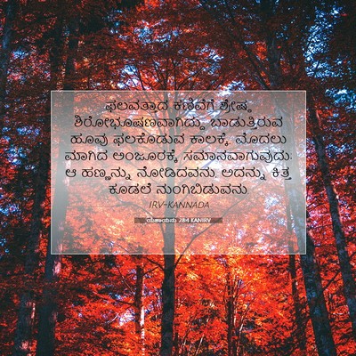 Picture 07 - ಯೆಶಾಯನು 28:4 KANIRV - ಫಲವತ್ತಾದ ಕಣಿವೆಗೆ - Bible Verse Picture