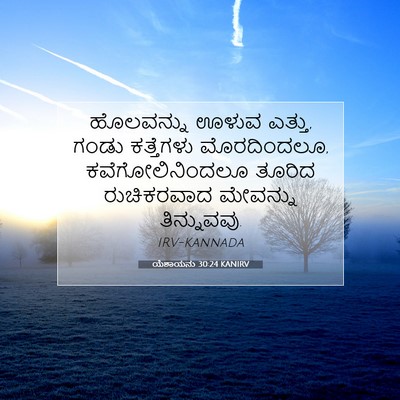 Picture 07 - ಯೆಶಾಯನು 30:24 KANIRV - ಹೊಲವನ್ನು ಊಳುವ - Bible Verse Picture