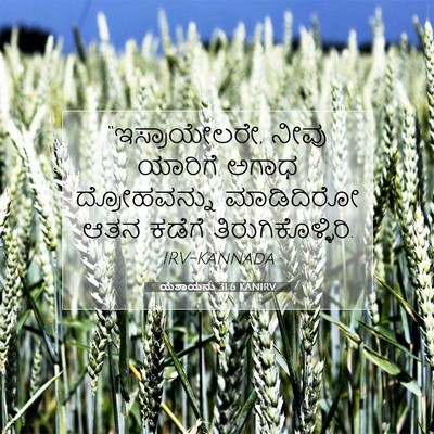 Picture 07 - ಯೆಶಾಯನು 31:6 KANIRV - “ಇಸ್ರಾಯೇಲರೇ, ನೀವು - Bible Verse Picture