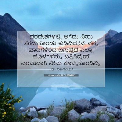 Picture 07 - ಯೆಶಾಯನು 37:25 KANIRV - ಪರದೇಶಗಳಲ್ಲಿ ಅಗೆದು - Bible Verse Picture