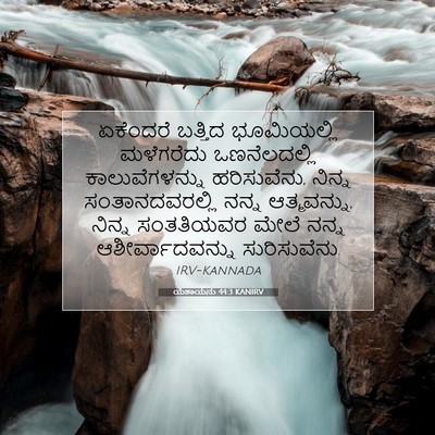 Picture 07 - ಯೆಶಾಯನು 44:3 KANIRV - ಏಕೆಂದರೆ ಬತ್ತಿದ - Bible Verse Picture
